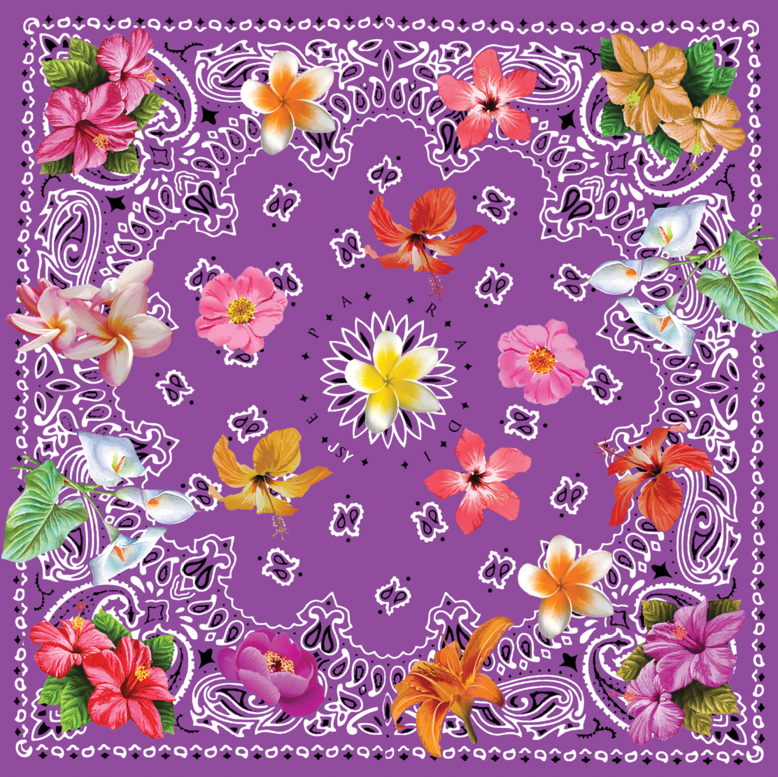VIOLET CAIMITE