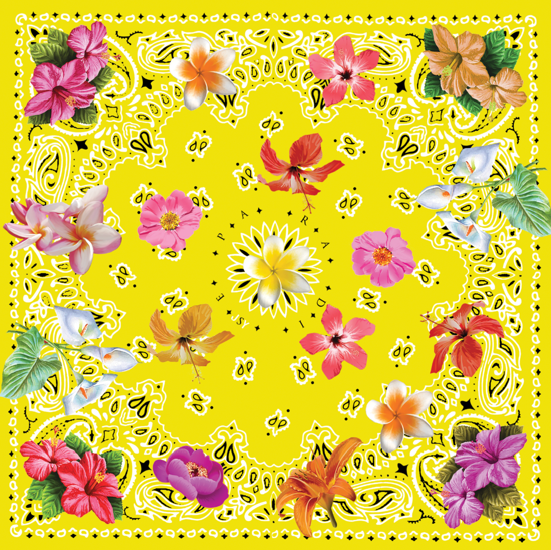 JAUNE ALLAMANDA